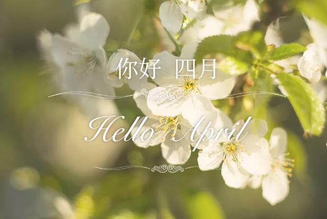 广州森蒂菲香氛：Hello，April！你好，四月！