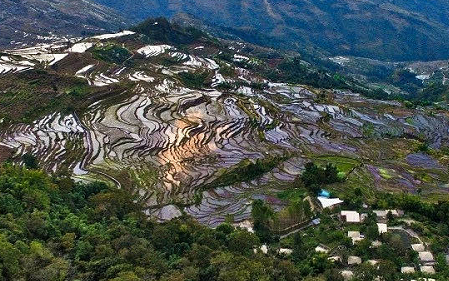 多彩投开启年中大促，联合多家住宿品牌加速文旅产业复苏