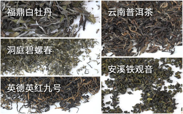 品茗用水对比盲测大比拼：山泉水为全场泡茶最佳用水