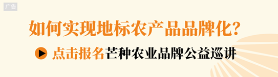 地标品牌丨一粒穿越8000年的神奇种子--赤峰小米 芒种农业品牌管理