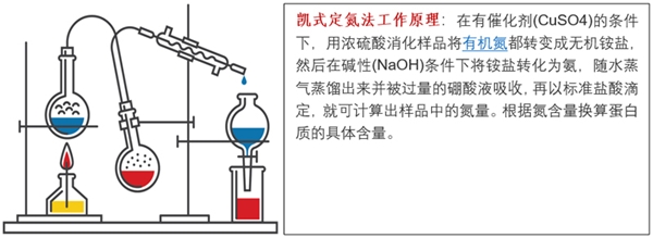 Elementar德国元素：婴幼儿奶粉中的蛋白质含量越高越好吗？