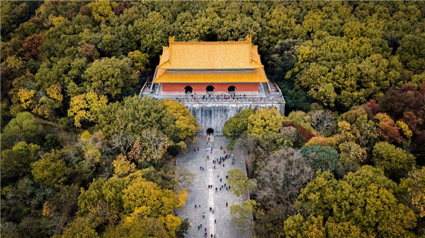 苏宁钟山国际高尔夫酒店 | 坐拥风景迤逦 感受至臻服务