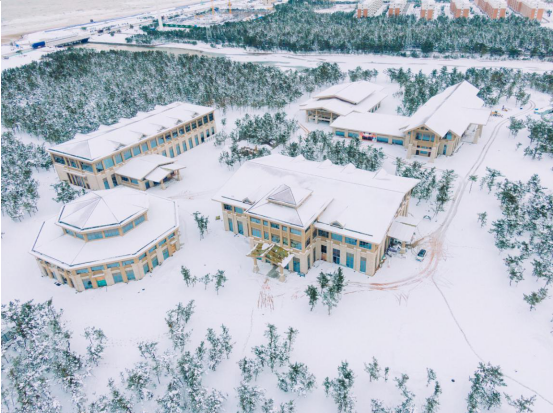 赏雪景、泡温泉、观天鹅，遇见那香海的冬日之美