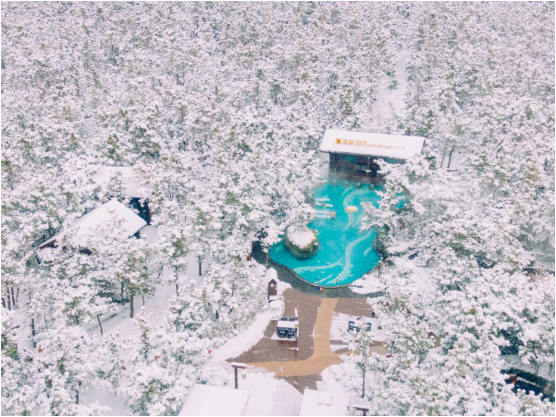 赏雪景、泡温泉、观天鹅，遇见那香海的冬日之美