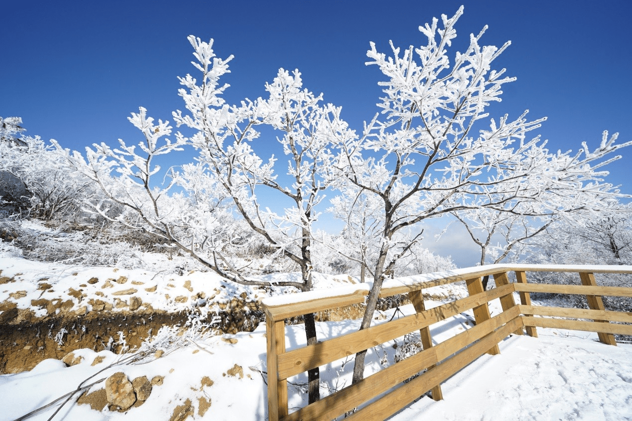 雪后的衢州龙游六春湖美成了“仙境”