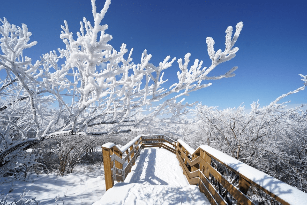 雪后的衢州龙游六春湖美成了“仙境”