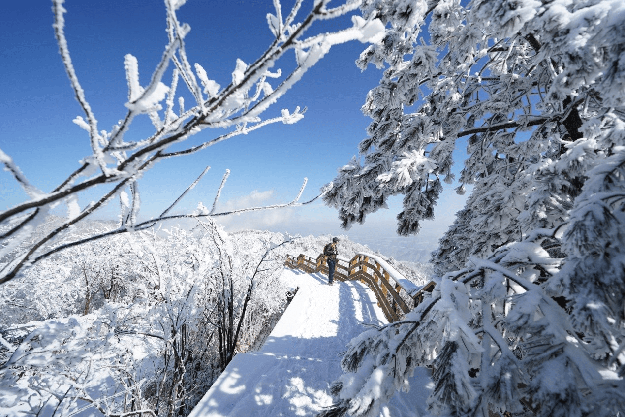 雪后的衢州龙游六春湖美成了“仙境”