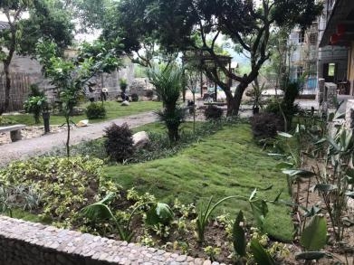 乡村旅游的黄金时代 民宿产业的新晋“网红”