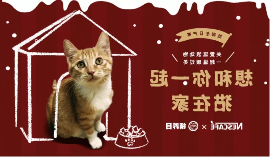 想和你一起猫在家,雀巢咖啡携手微博“益”起温暖冬日的喵星人~