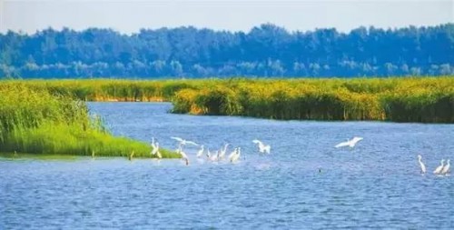 中美华尔助力国家4A级浮龙湖度假区，构建国际善湖文化旅游目的地