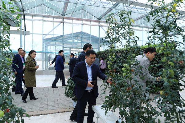 2021“中国食品安全新泰行暨国农赋能新泰行动” 走进新泰农副产品批发市场和产业园