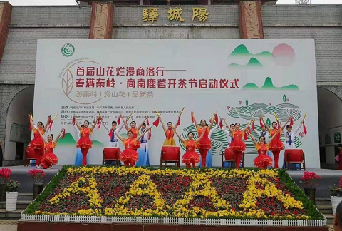 首届山花烂漫商洛行暨春满秦岭·商南鹿茗开茶节盛大举行