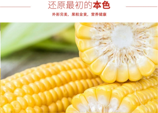 “双溪翠”，来自秋歌农业的优质鲜食玉米代表品牌！