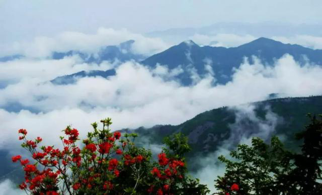 自驾雪峰山丨五一出游季，湖南这个宝藏打卡地一定要收藏！