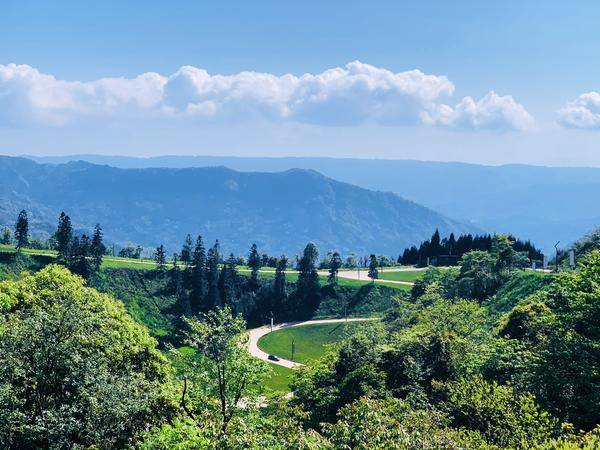 初夏寻游雅安海子山：孔雀灵韵，恐龙出没