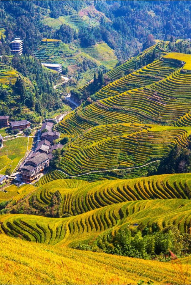 速8酒店：五一特别行动丨打卡拍照，点亮风景