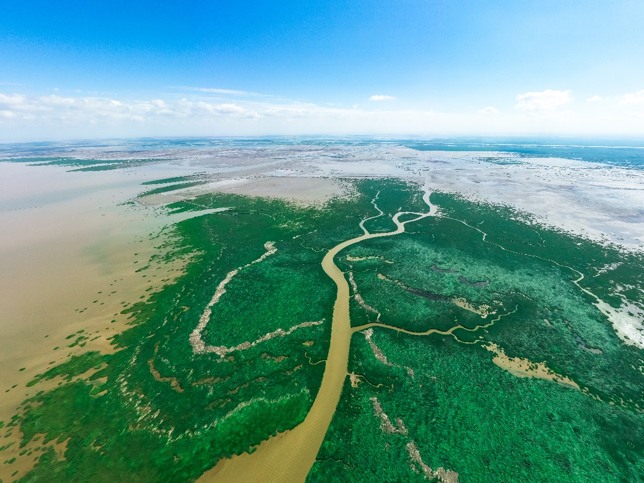 塑造滨海旅游目的地发展新范本，东营成2021休闲度假大会举办地