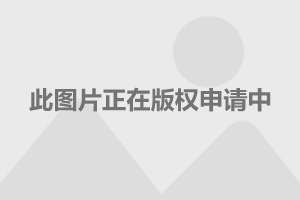 双11理想之城掀起极速狂欢 天猫养车1号带来“宇宙级养车革命”