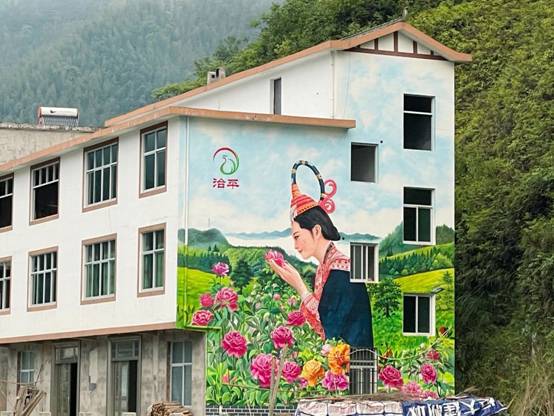 芒种农业品牌行记：治平畲族乡：硒旺之地，生生不息