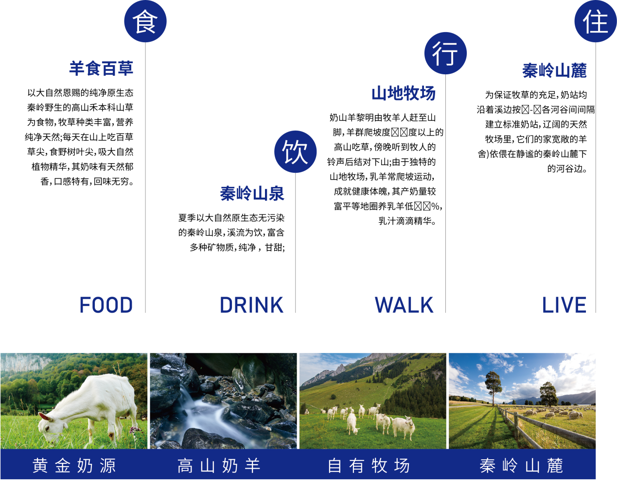 羊乃牧歌荣登央视CCTV，匠心品质，品牌见证！