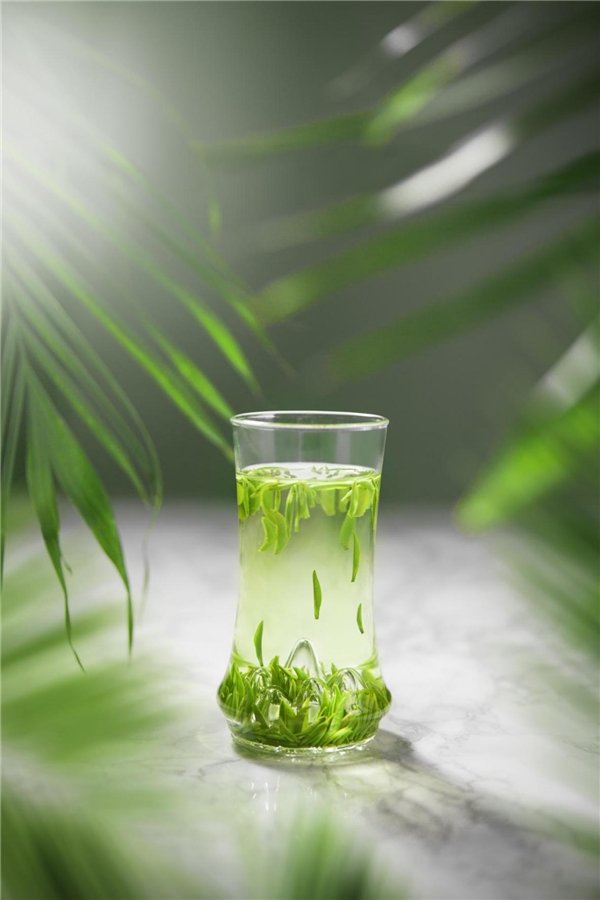 一杯竹叶青茶解暑养生，给伏天一份清静
