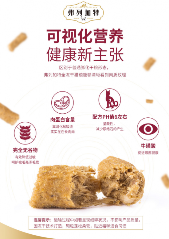 让小猫咪欢乐度夏的小妙招还得靠TA