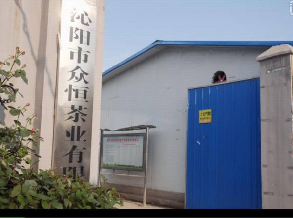 沁阳众恒茶业：茶中自有生财道 茶中自有黄金屋