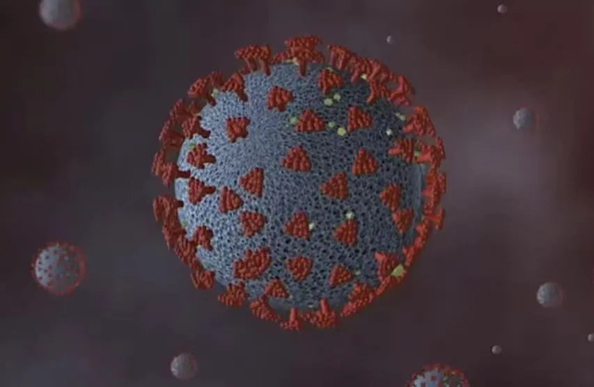 【食安专栏】公共场所微生物污染的预防与控制