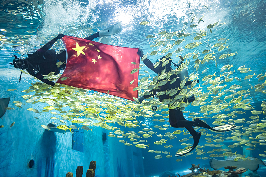 海昌海洋公园：国庆7天迎80万人次，衍生消费及自营收入突破历史峰值