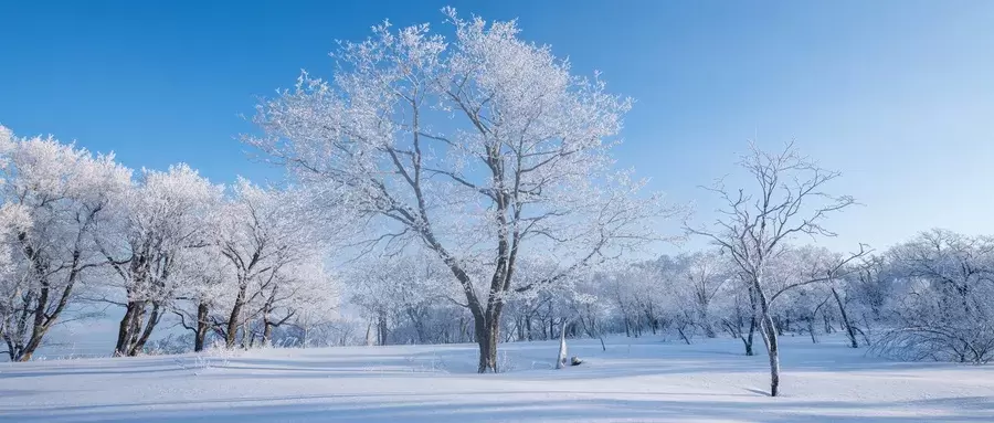 绿维文旅：冬奥会将至，冰雪旅游迎来破圈红利！