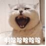 成人奶粉有什么比较新颖有特色的品牌吗？