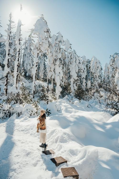 官宣！三大野生萌宠空降，燃情开启瓦屋山最萌冰雪嘉年华！