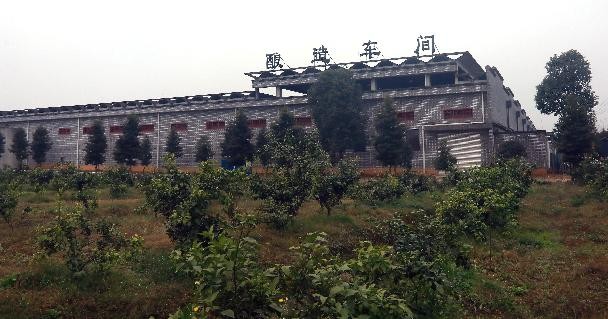 努力把“国喜陈酿”打造成为全国知名白酒品牌