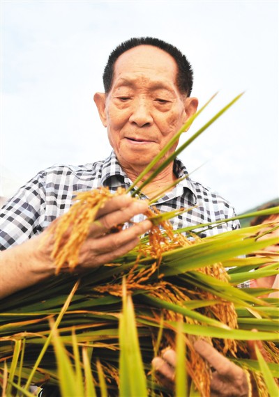 颠覆传统大米销售 引领大米消费升级