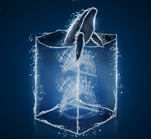 海信洗碗机聚能鲸喷洗，让刷碗高手都惊呆的技术！