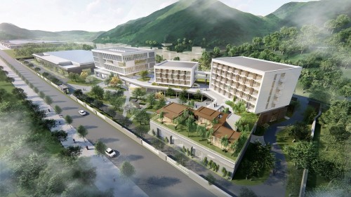 铁皮石斛行业破局 铁枫堂获批浙江省首家食药物质管理试点企业