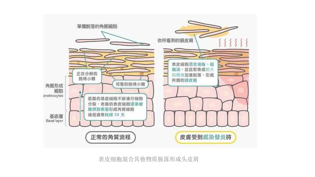 百事花旗SMPPT超级肽打开抗氧化新局面，不老时代或将到来