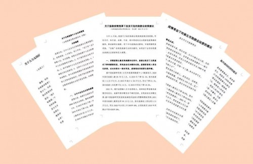 巅峰智业提案入选全国工商联团体提案提交全国“两会”