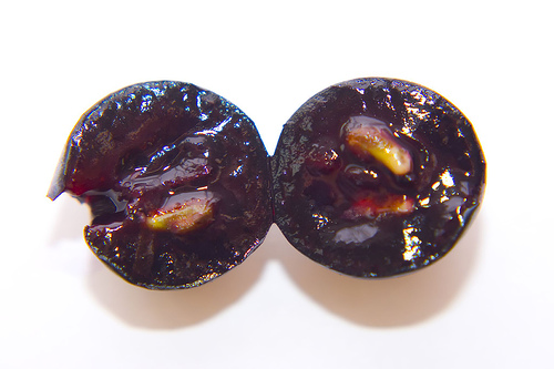 骑士传说紫北塞，拉曼恰的风土体现，佳酿天成