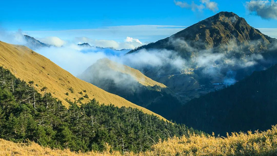 正是邢台春花烂漫时，青季酒店MINI邂逅巍巍太行的独有浪漫
