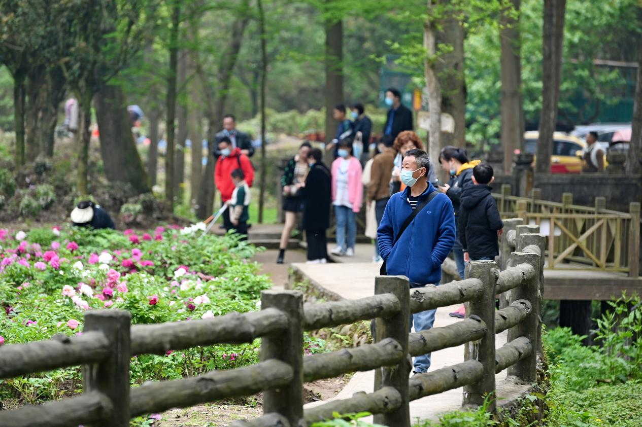 牡丹花开传神韵 国色天香迎宾来——2022年彭州第38届天彭牡丹花会开幕