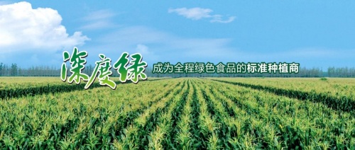 实力领跑绿色健康新生活 中绿集团助推“绿色中国”建设