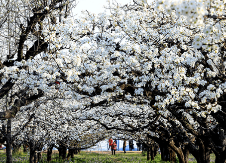 金恪精彩文旅活动：魅力辽阳县 诗画山水间