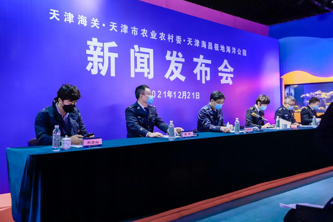 倾心守护，爱伴归途——天津海昌极地海洋公园助力世界海龟日主题宣传活动