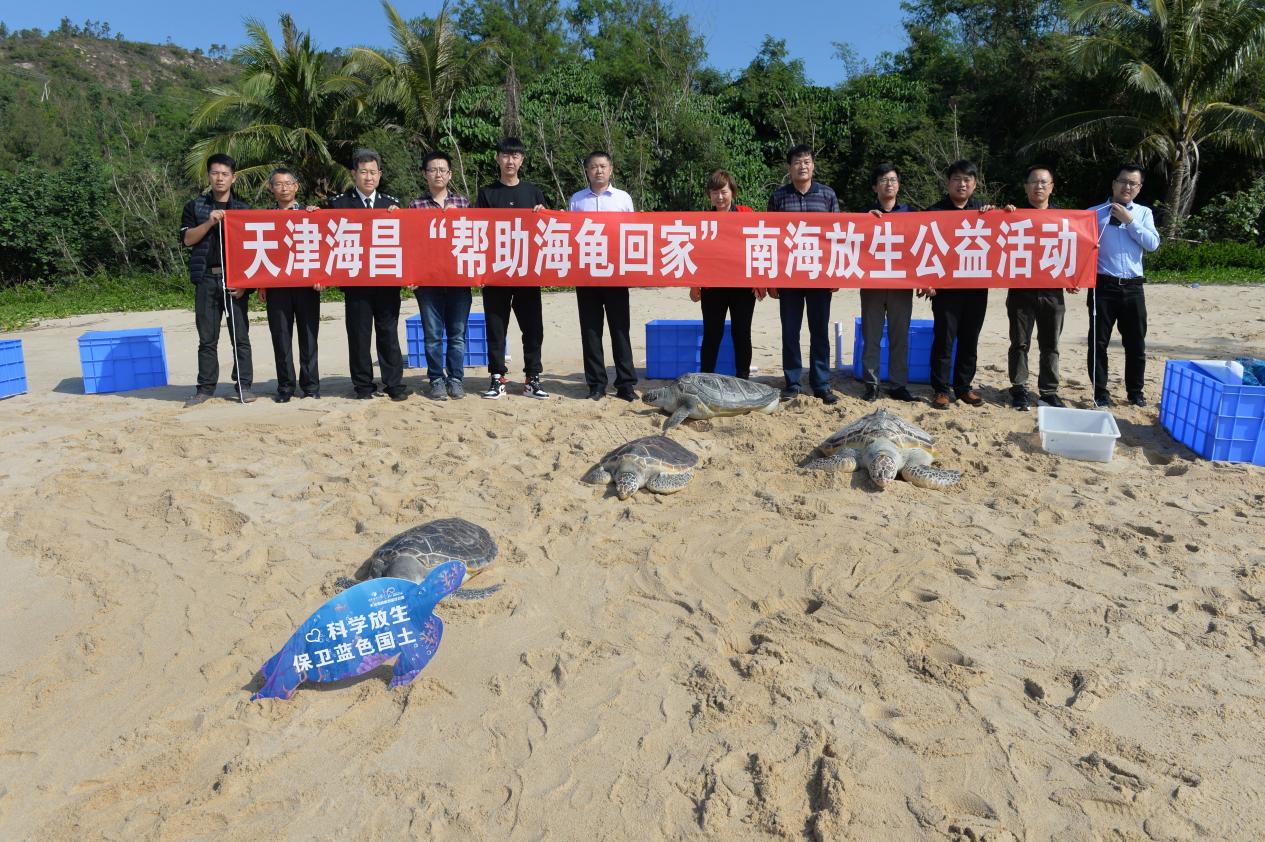 倾心守护，爱伴归途——天津海昌极地海洋公园助力世界海龟日主题宣传活动