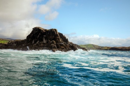 名厨争鲜荟•爱尔兰海产线上厨艺挑战赛于近日圆满落幕