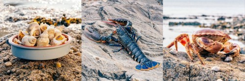 名厨争鲜荟•爱尔兰海产线上厨艺挑战赛于近日圆满落幕