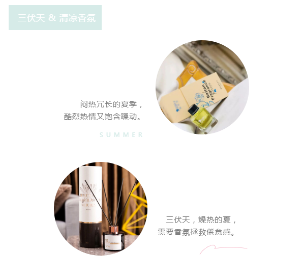 产品推荐丨降暑香氛，拥抱清凉