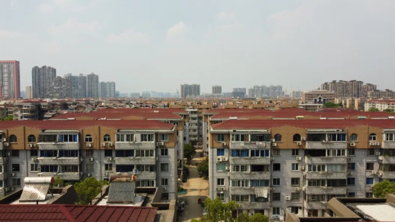 城市焕新丨打造健康绿色人居环境，三棵树焕新服务助力南通崇川老旧小区提档升级