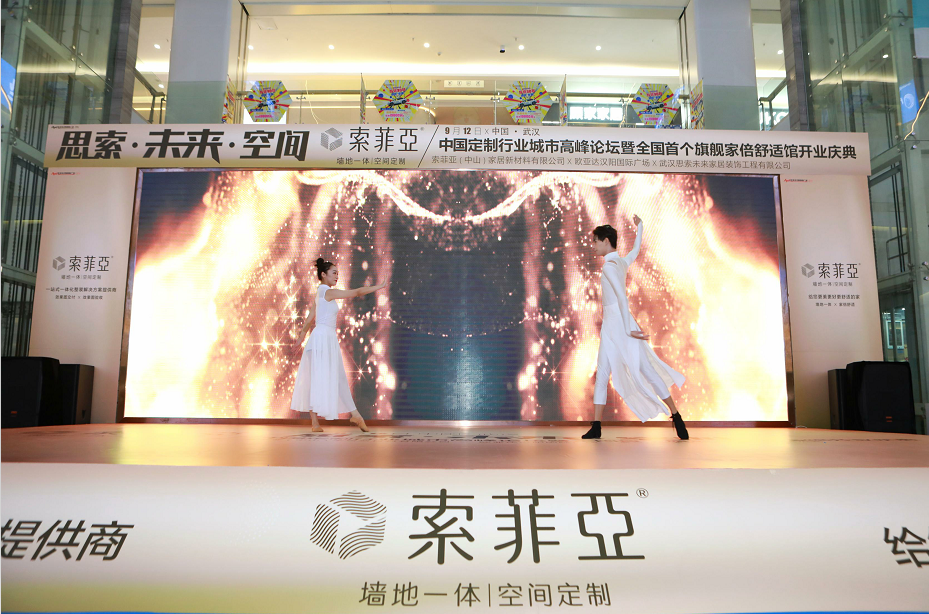 湖北首现定制行业“新物种”：索菲亚·墙地一体项目